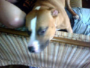1116070921_edited.jpg