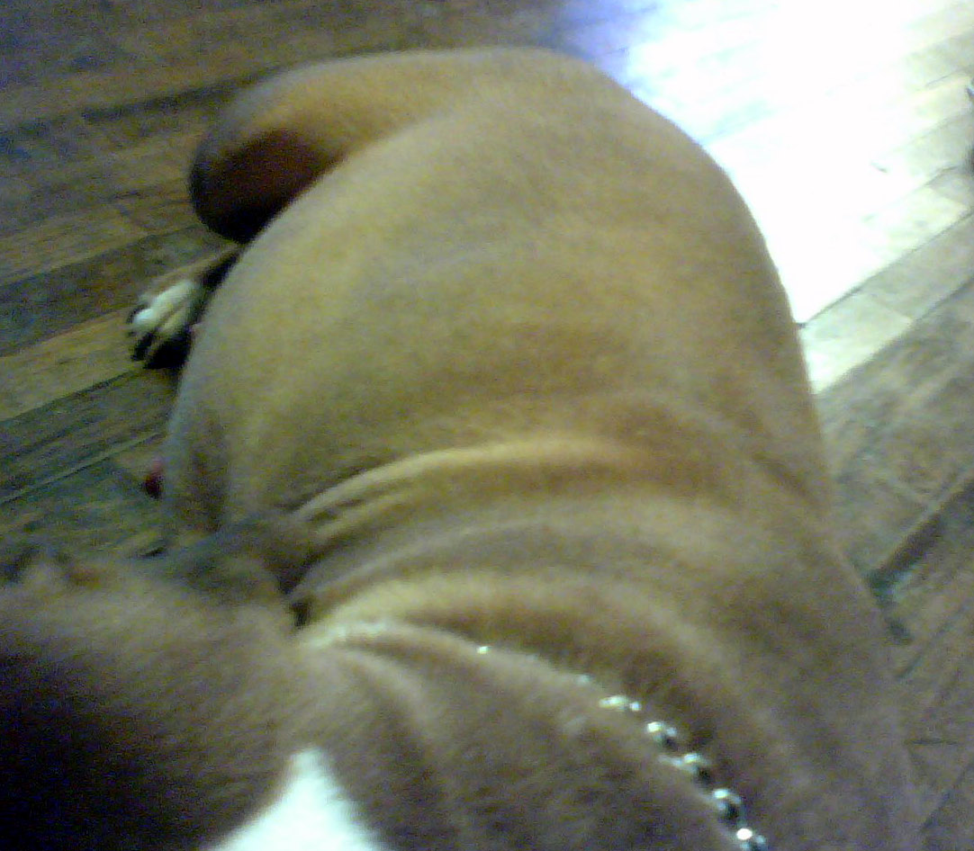 0120081642_edited.jpg